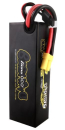 GEA8K4S10E5GT Lipo/Car 14,8/8000 Bashing100CGT EC-5/XH